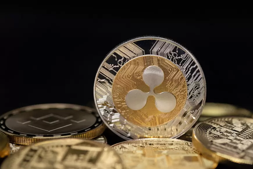 Revolutionizing Global Payments: The Potential of Ripple and Its XRP Ledger Technology
