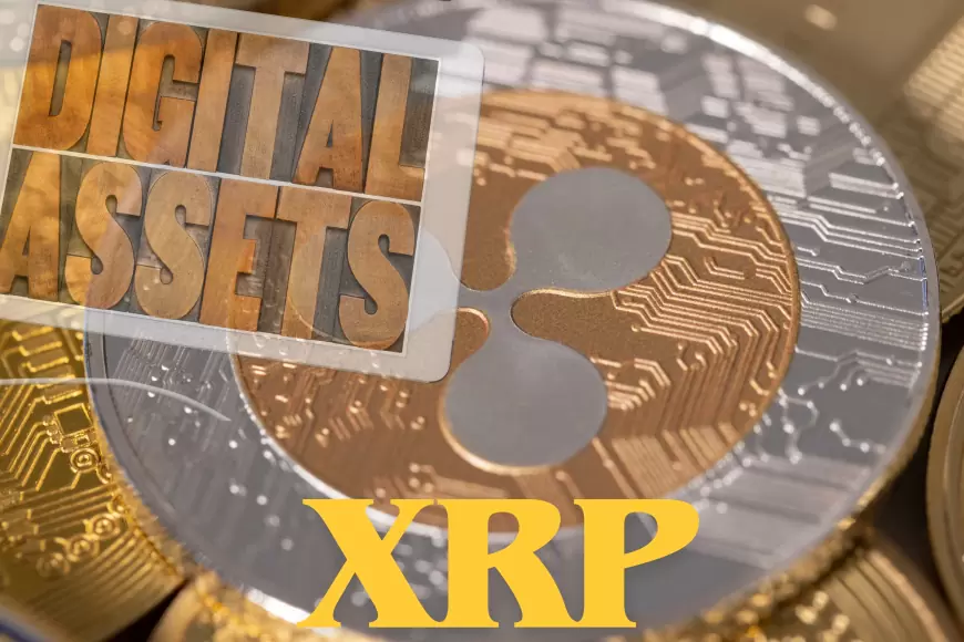 Mastering XRP: A Guide to Understanding and Utilizing Ripple's Digital Asset